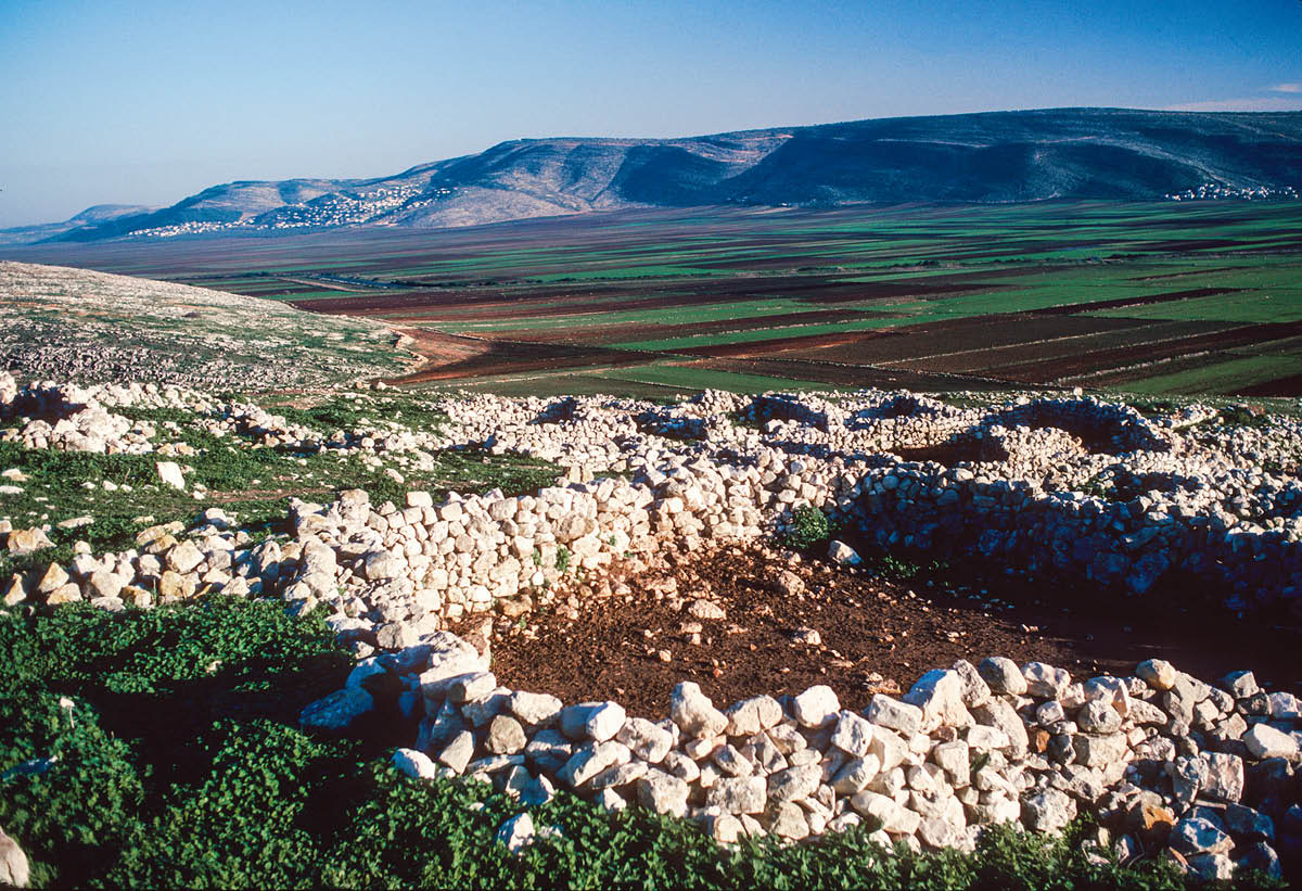 [Ilustracja na stronie 738]