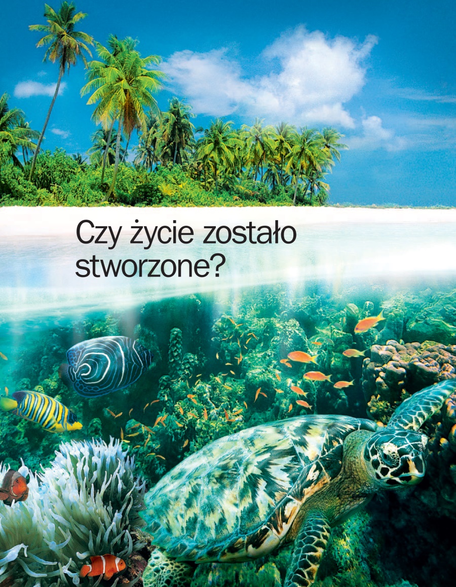 Czy życie zostało stworzone?