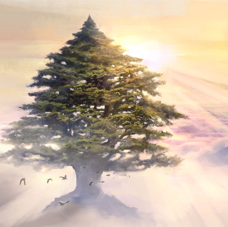 Wielki cedr, wokół którego latają ptaki.