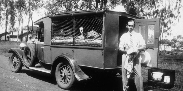 [Ilustracja na stronie 31]