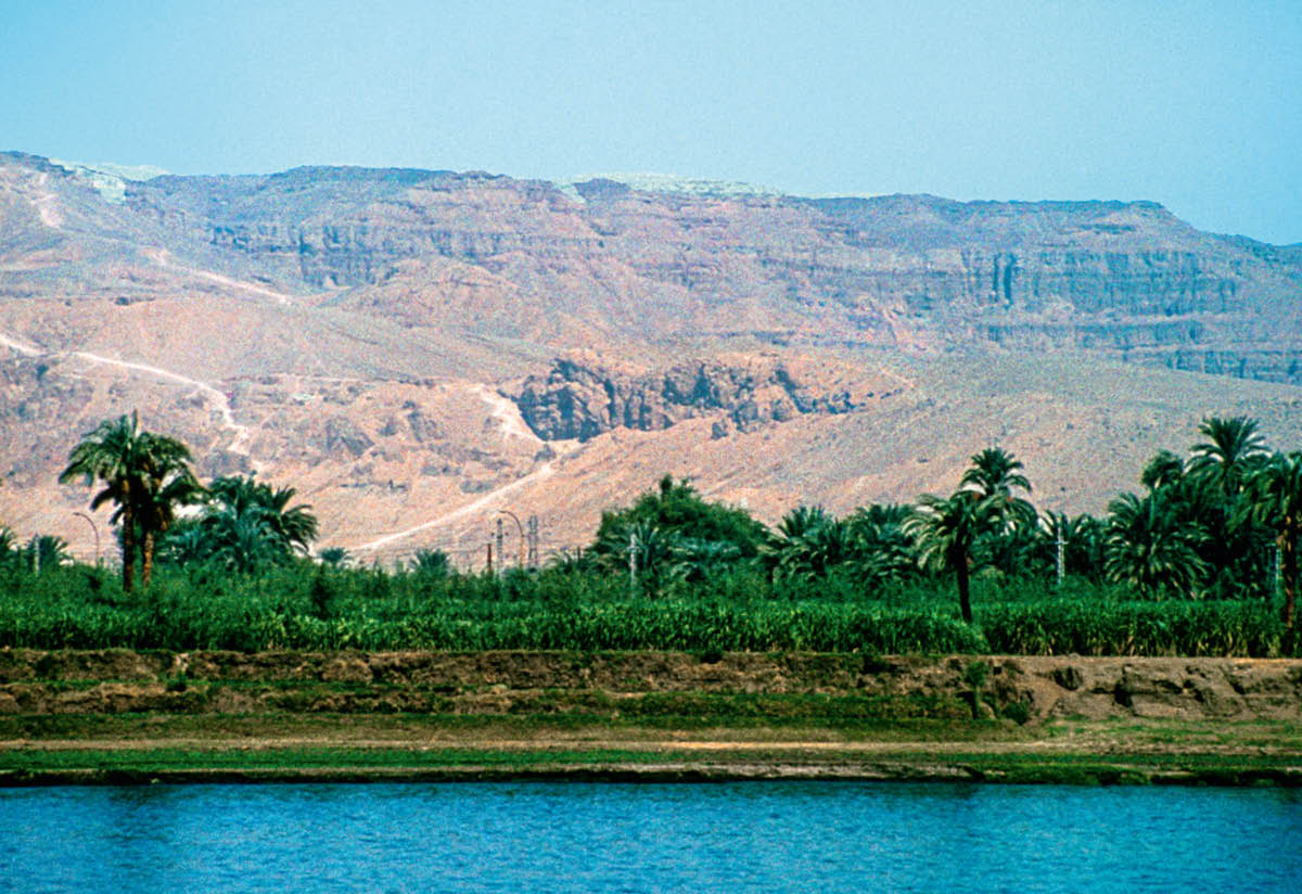 [Imagem na página 534]