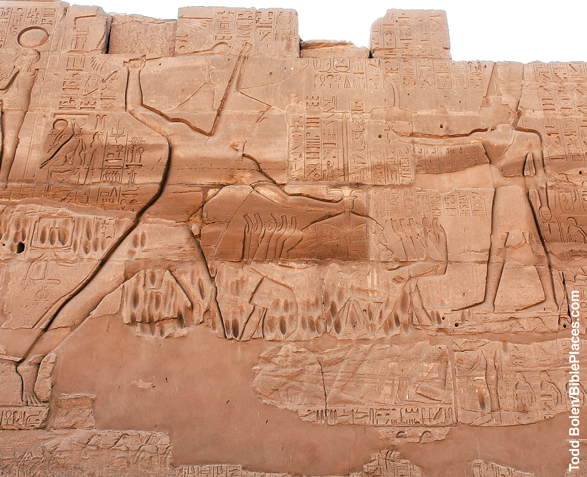 [Imagem na página 534]