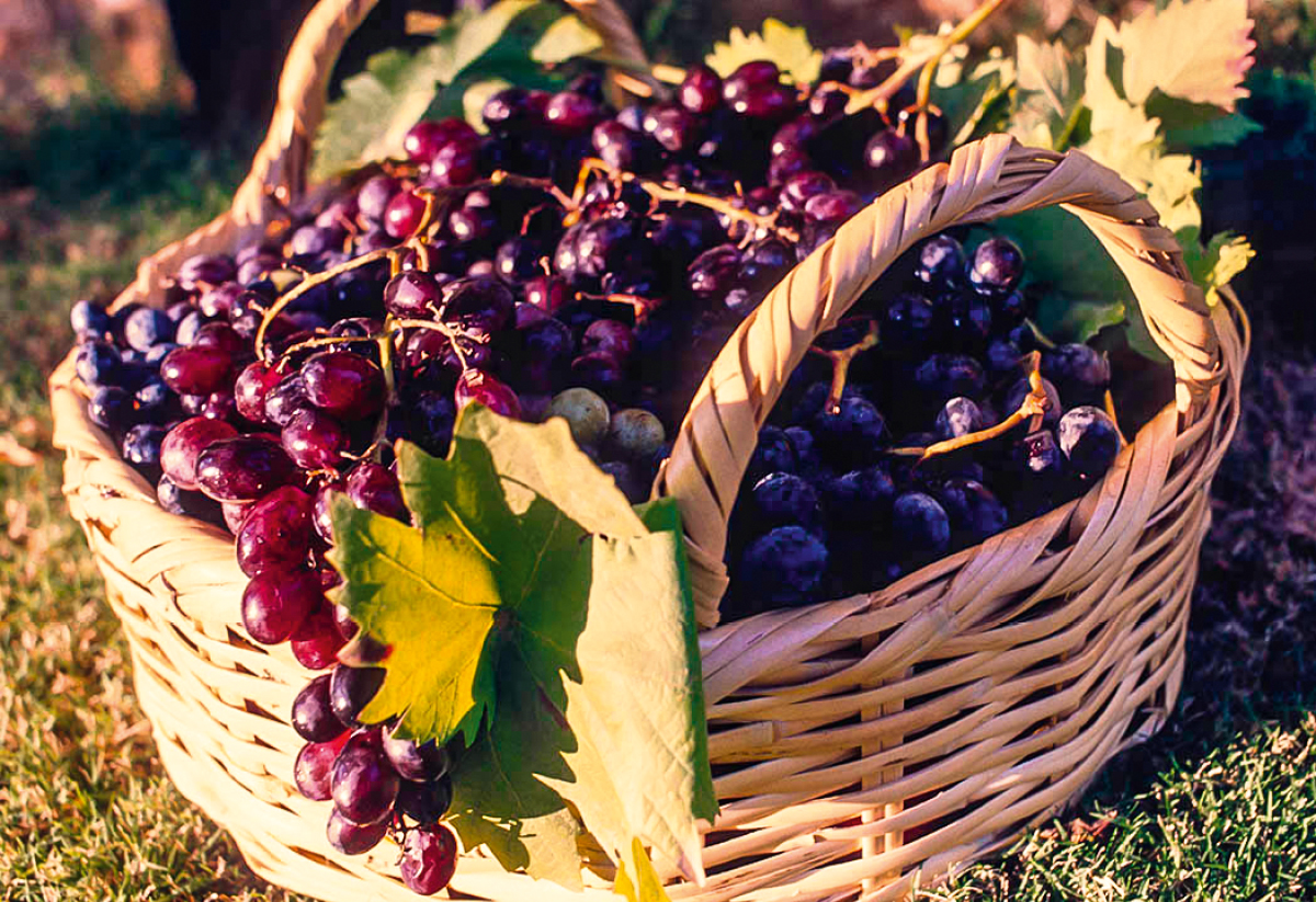 [Fotos na página 742]