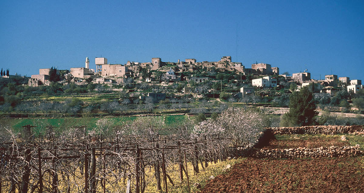 [Foto na página 1058]