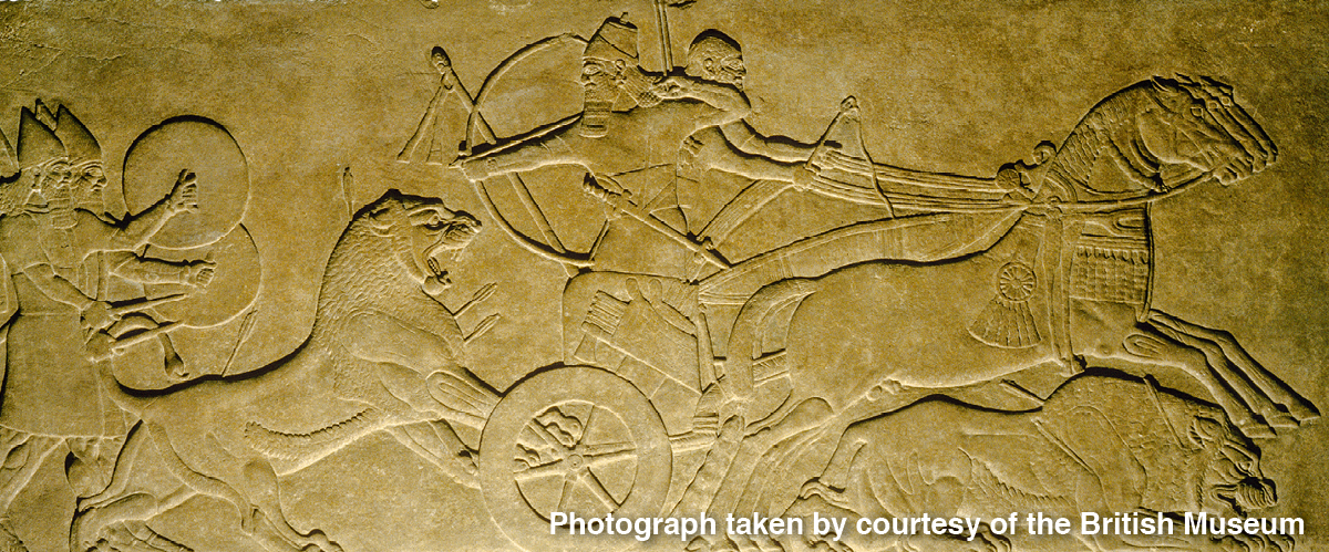 [Foto na página 955]