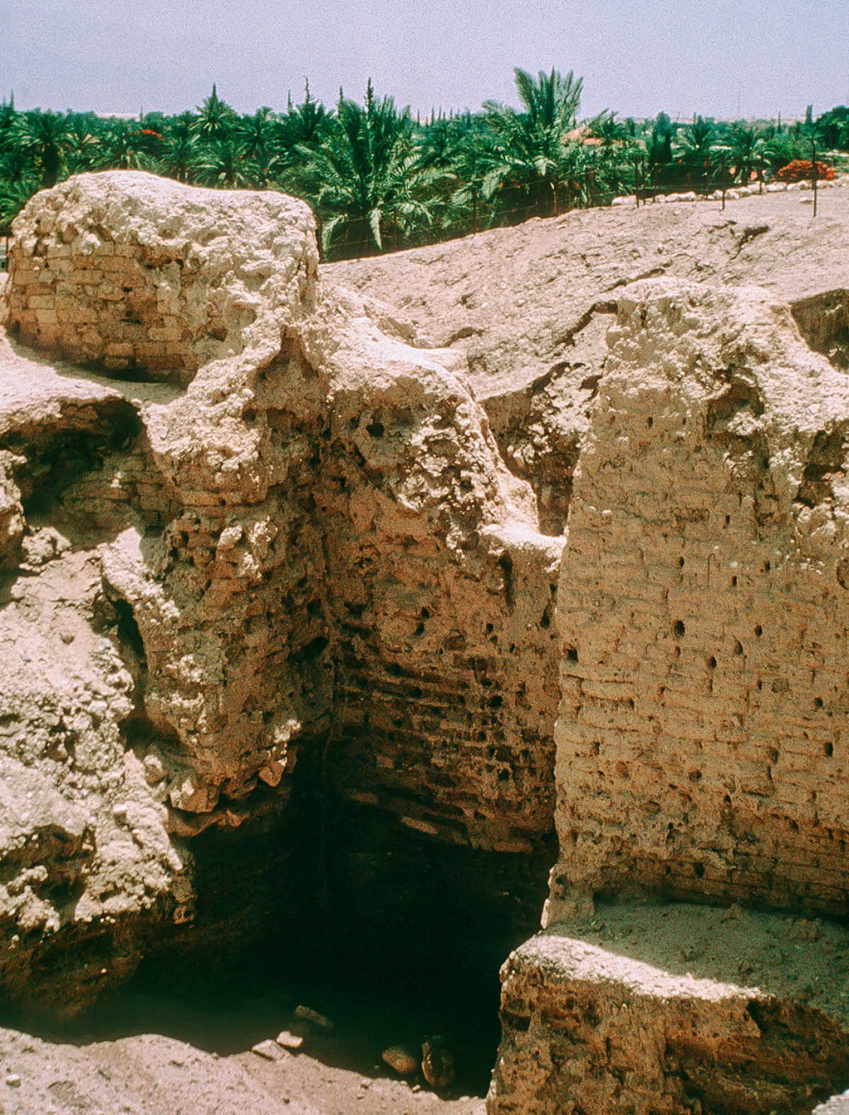 [Foto na página 61]