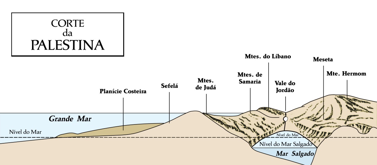 [Diagrama na página  567]
