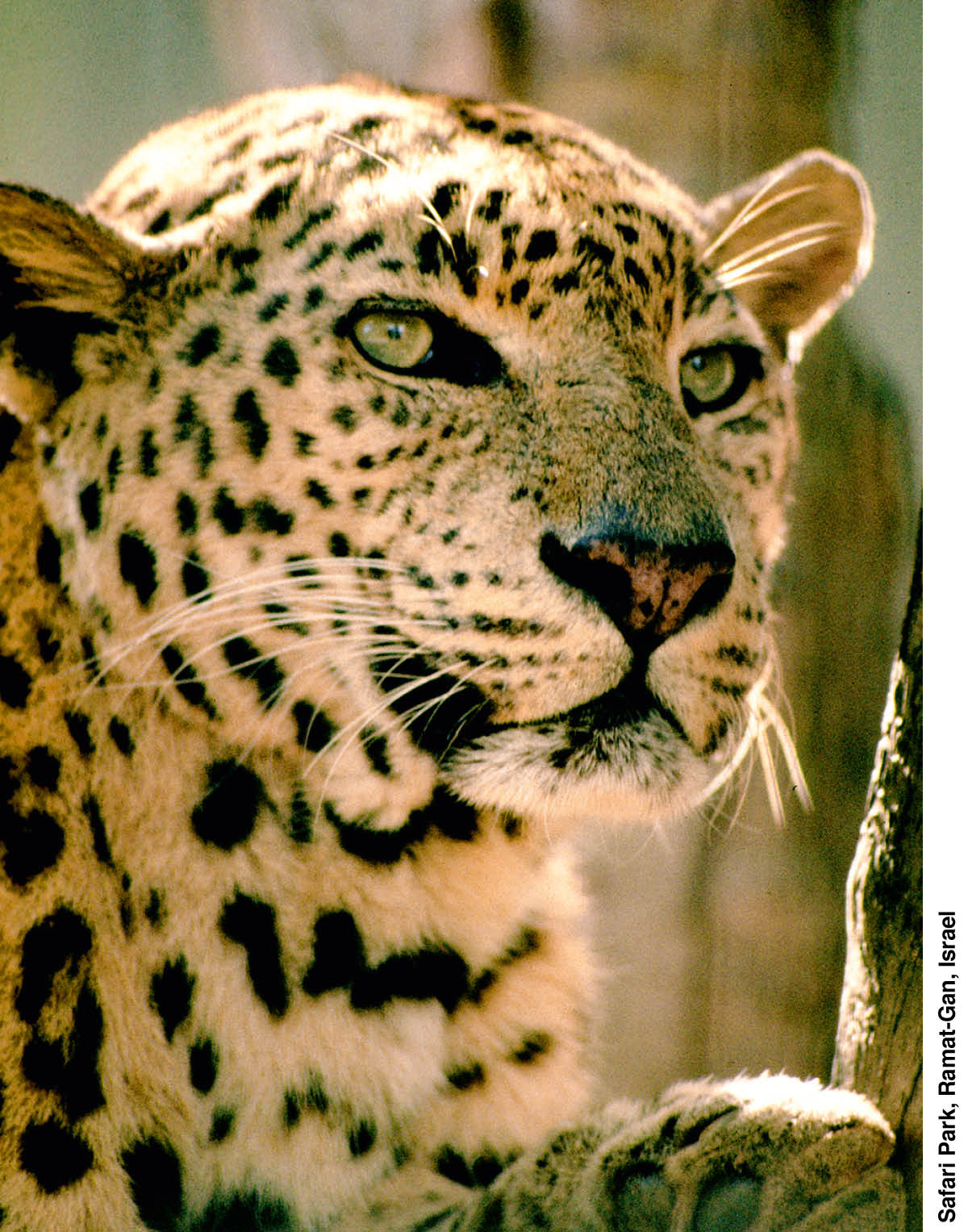 [Foto na página 219]