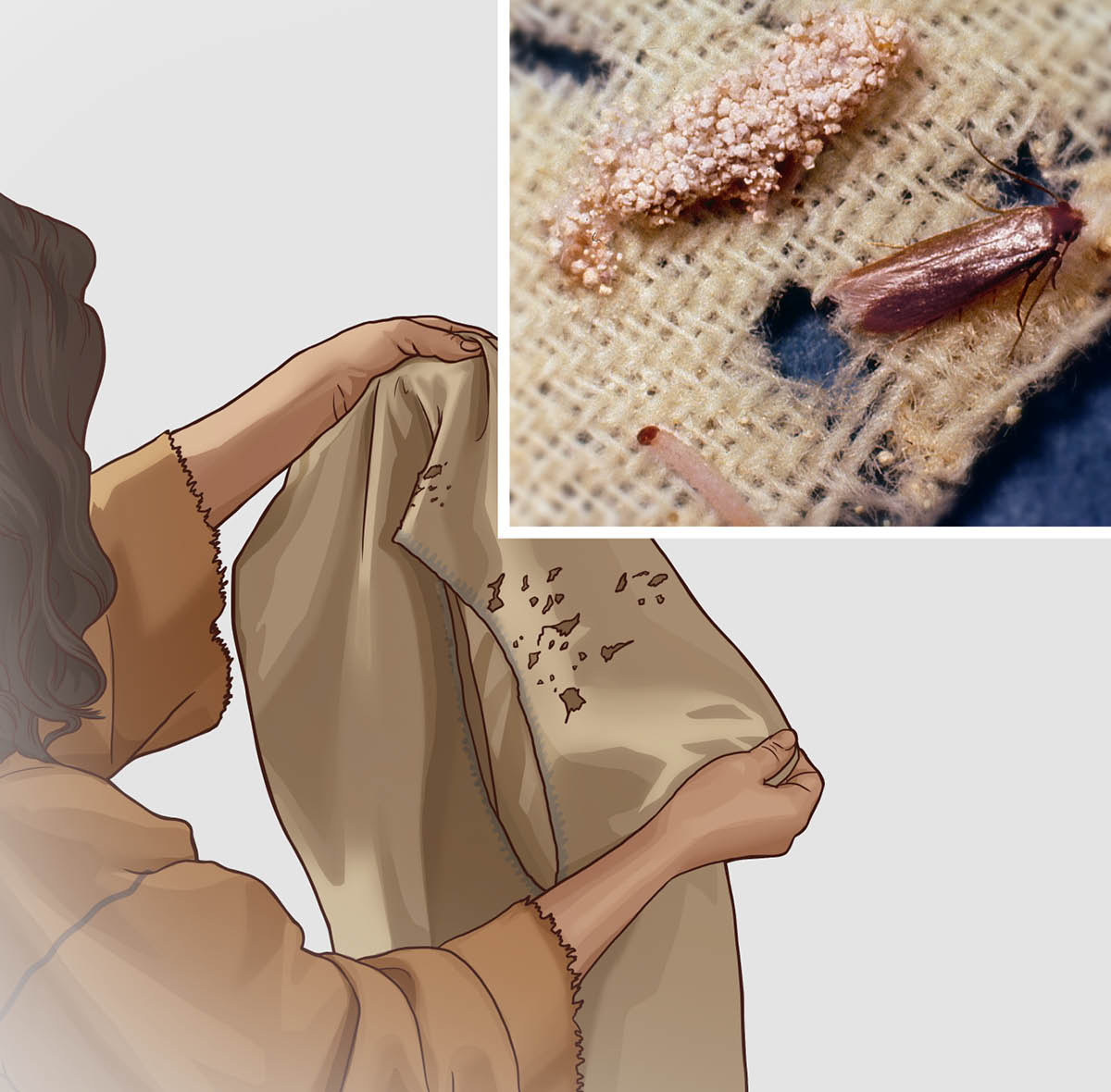 “Suas roupas foram roídas pelas traças”