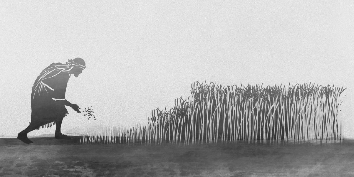 Homem planta joio no campo de outra pessoa