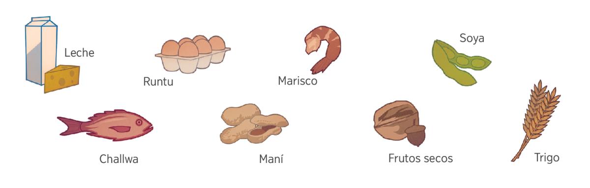 Leche, runtu, mariscos, soya, challwa, maní, frutos secos, trigo