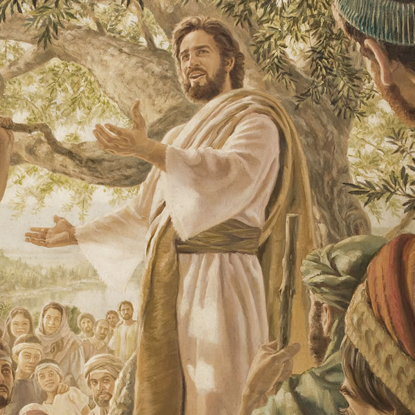 [Ilustraţia de la pagina 23]