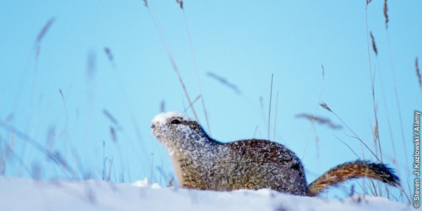 [Ilustraţia de la pagina 16]