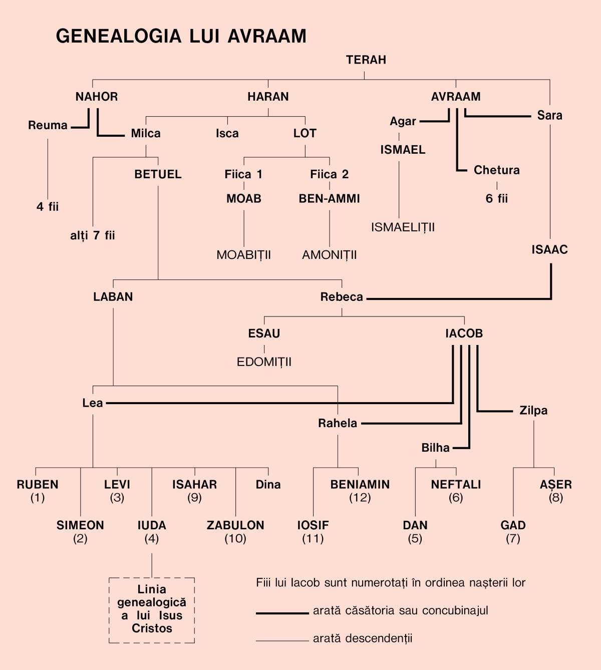 [Diagrama de la pagina 30]