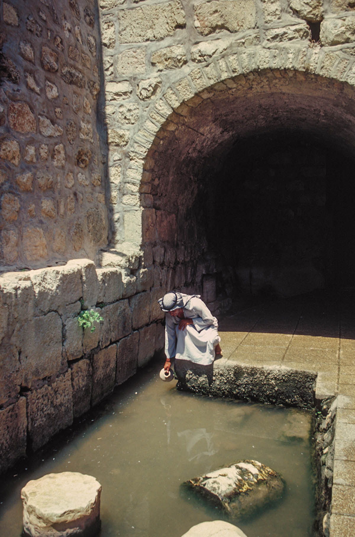 [Ilustrația de la pagina ]