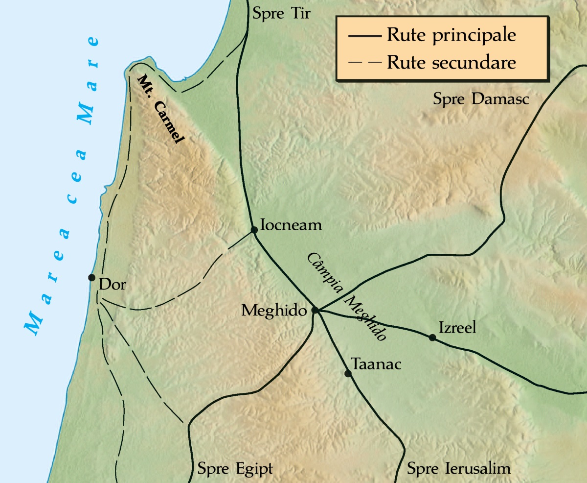 [Harta de la pagina ]