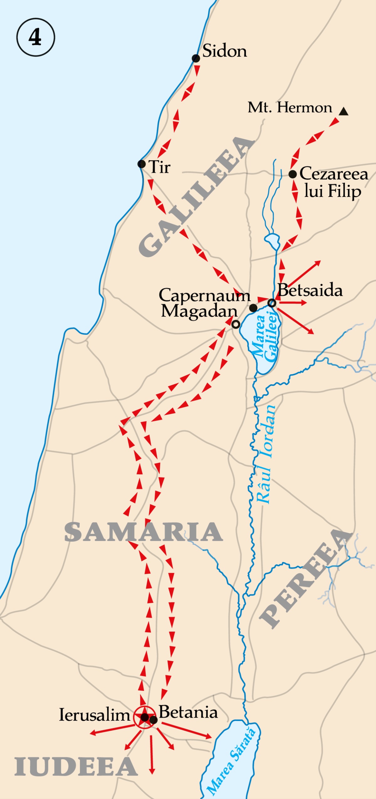 [Harta de la pagina ]