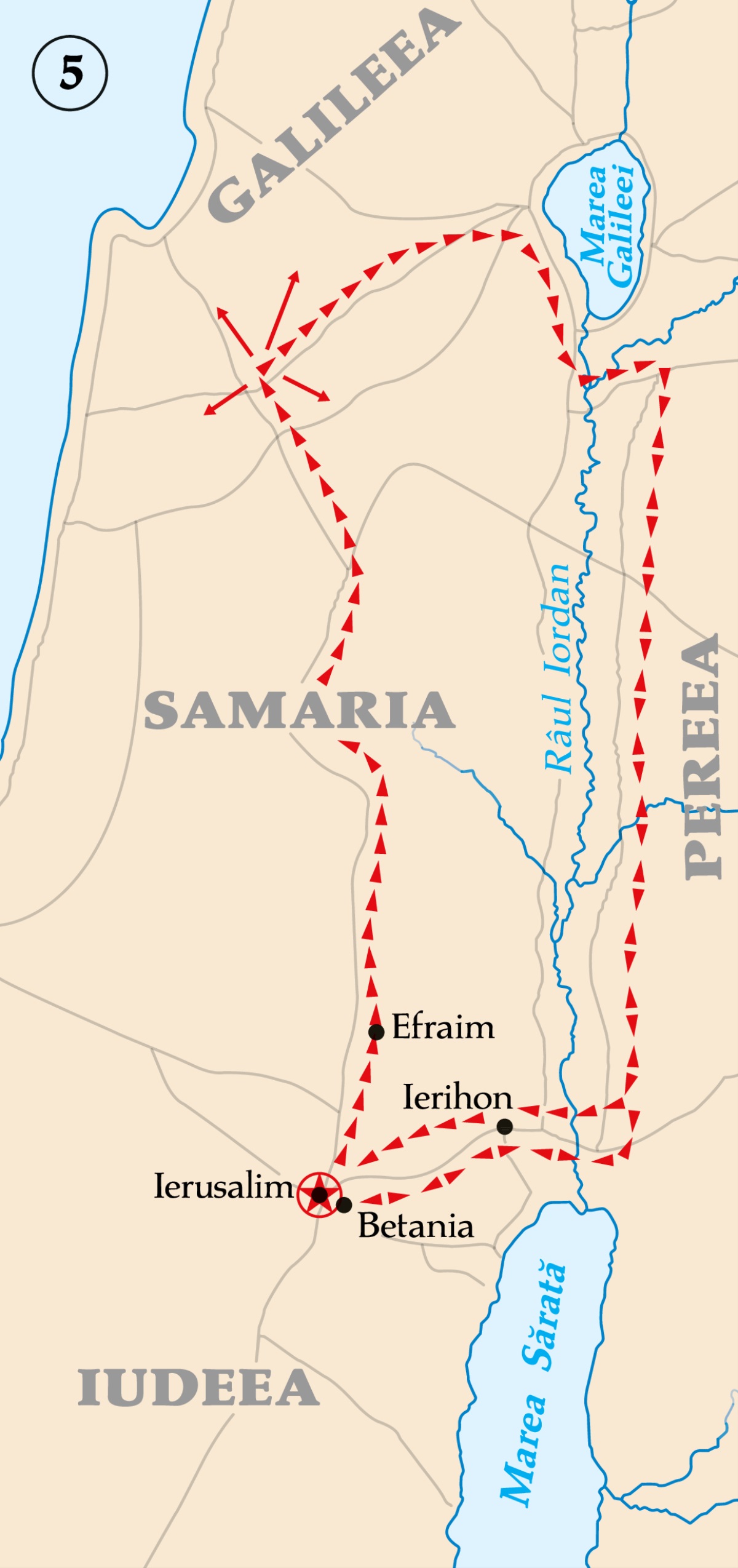 [Harta de la pagina ]