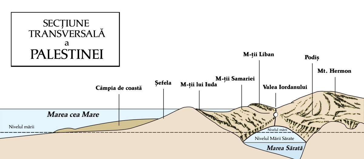 [Diagrama de la pagina ]