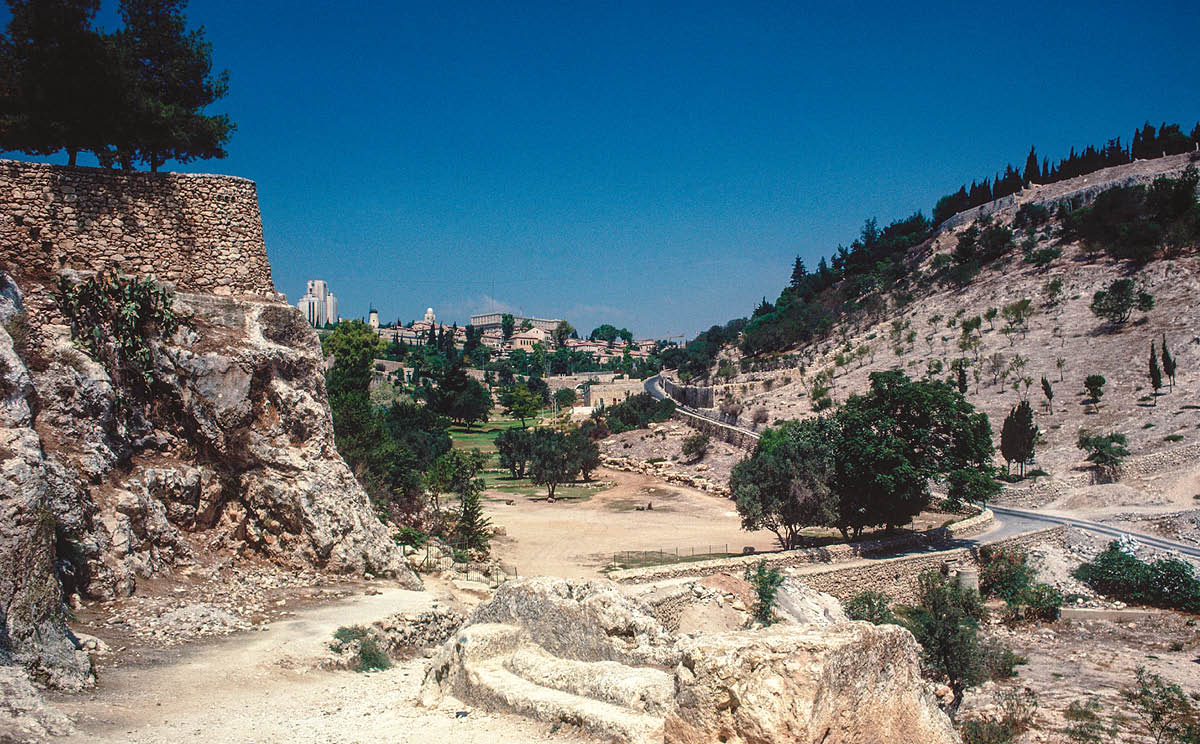 [Ilustrația de la pagina ]