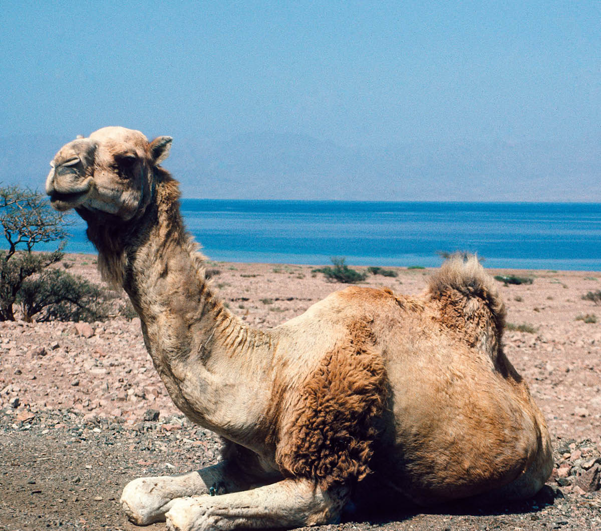 [Ilustrația de la pagina 1751]