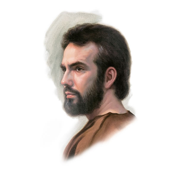 Ilustrația de la pagina 23