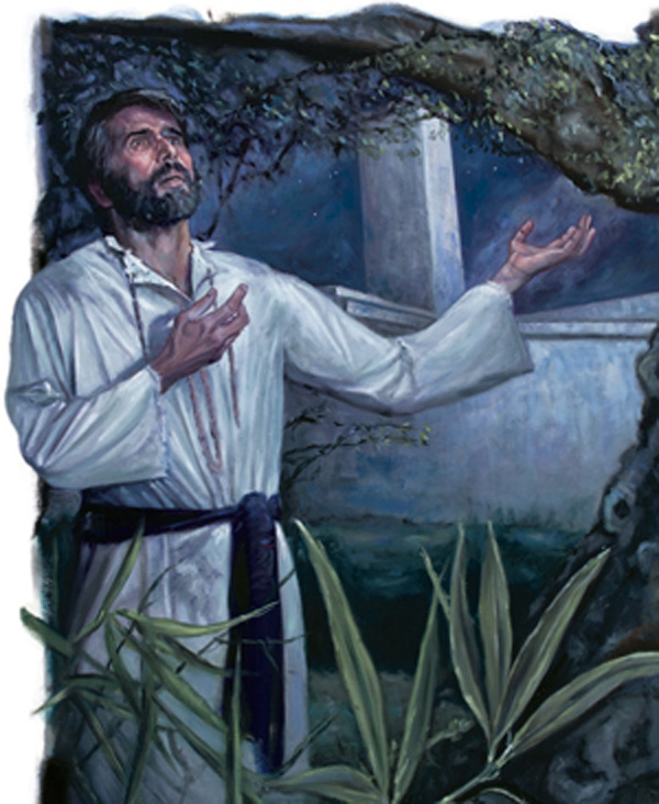 Ilustraţia de la pagina 116