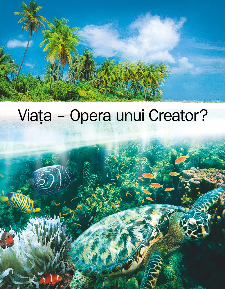 Viața – Opera unui Creator?