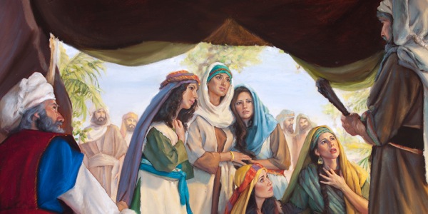 [Ilustraţia de la pagina 7]