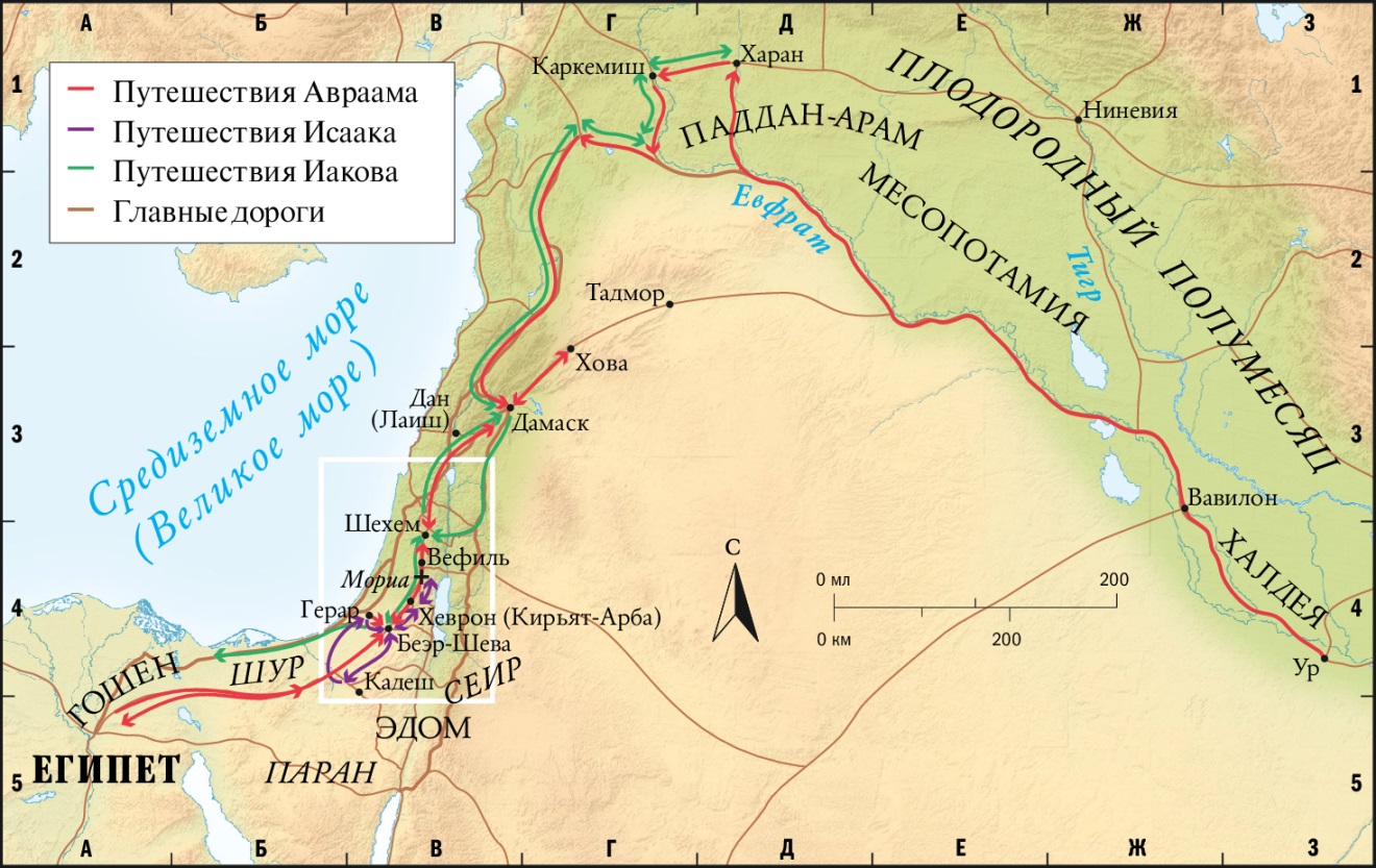 Патриархи (обзор)