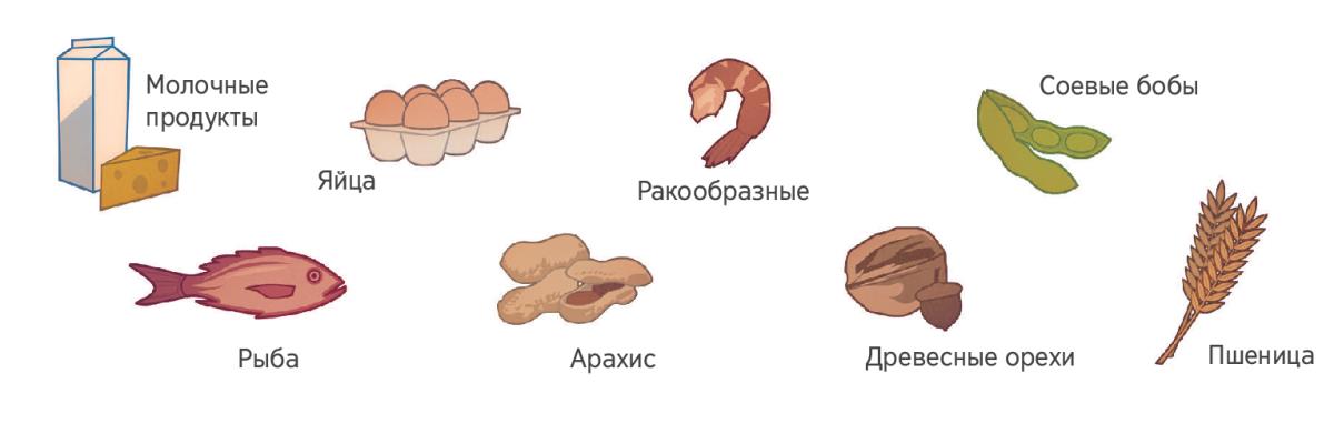Молоко, яйца, ракообразные, соевые бобы, рыба, арахис, древесные орехи и пшеница
