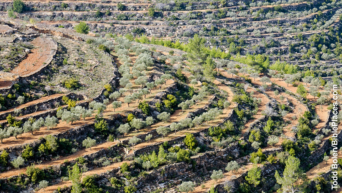 [Иллюстрация, страница 833]