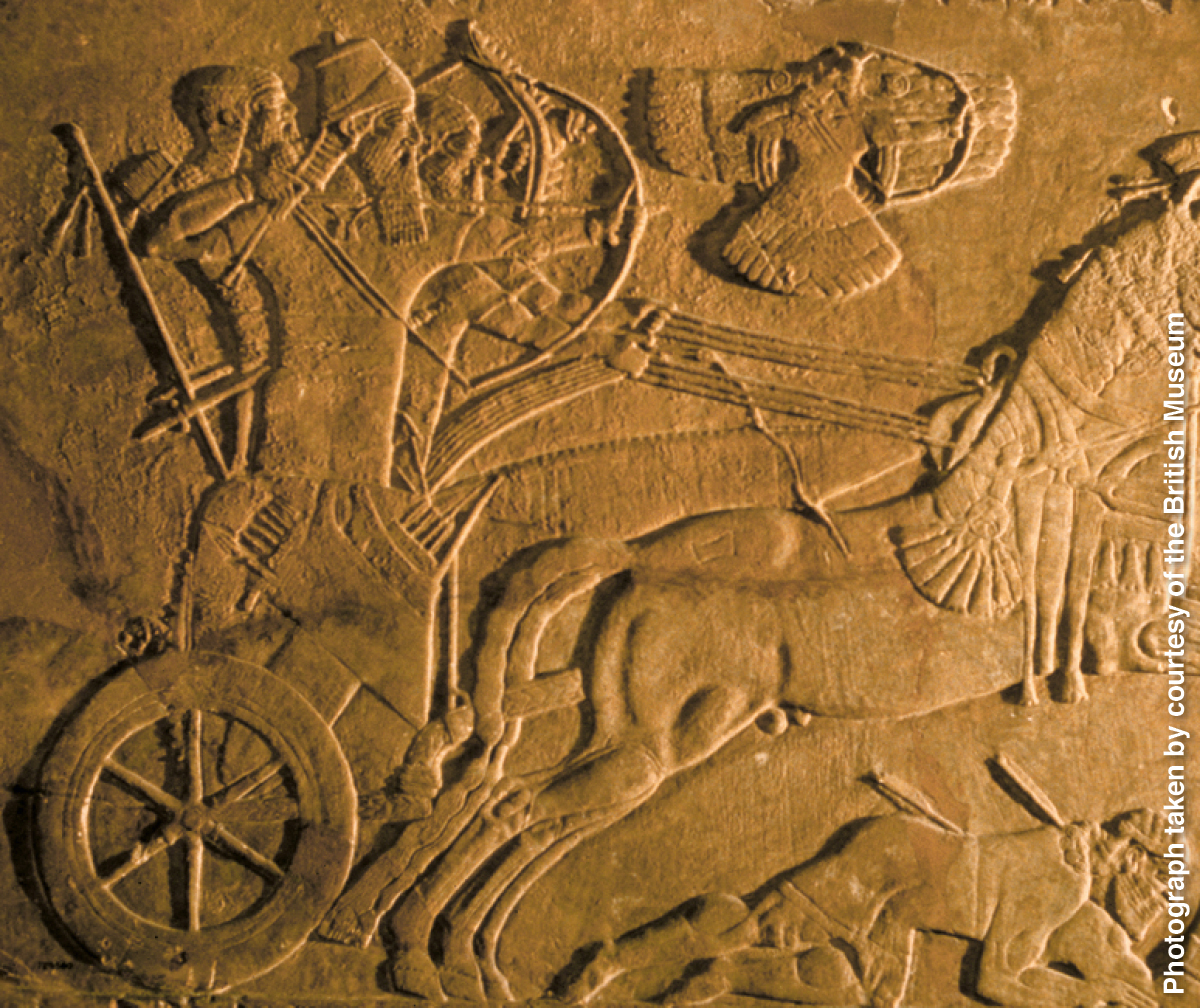 [Иллюстрация, страница 408]