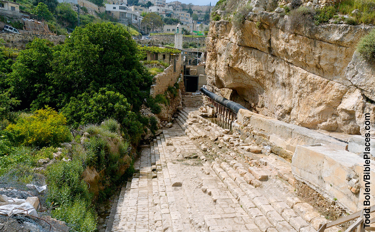 [Иллюстрация, страница 950]