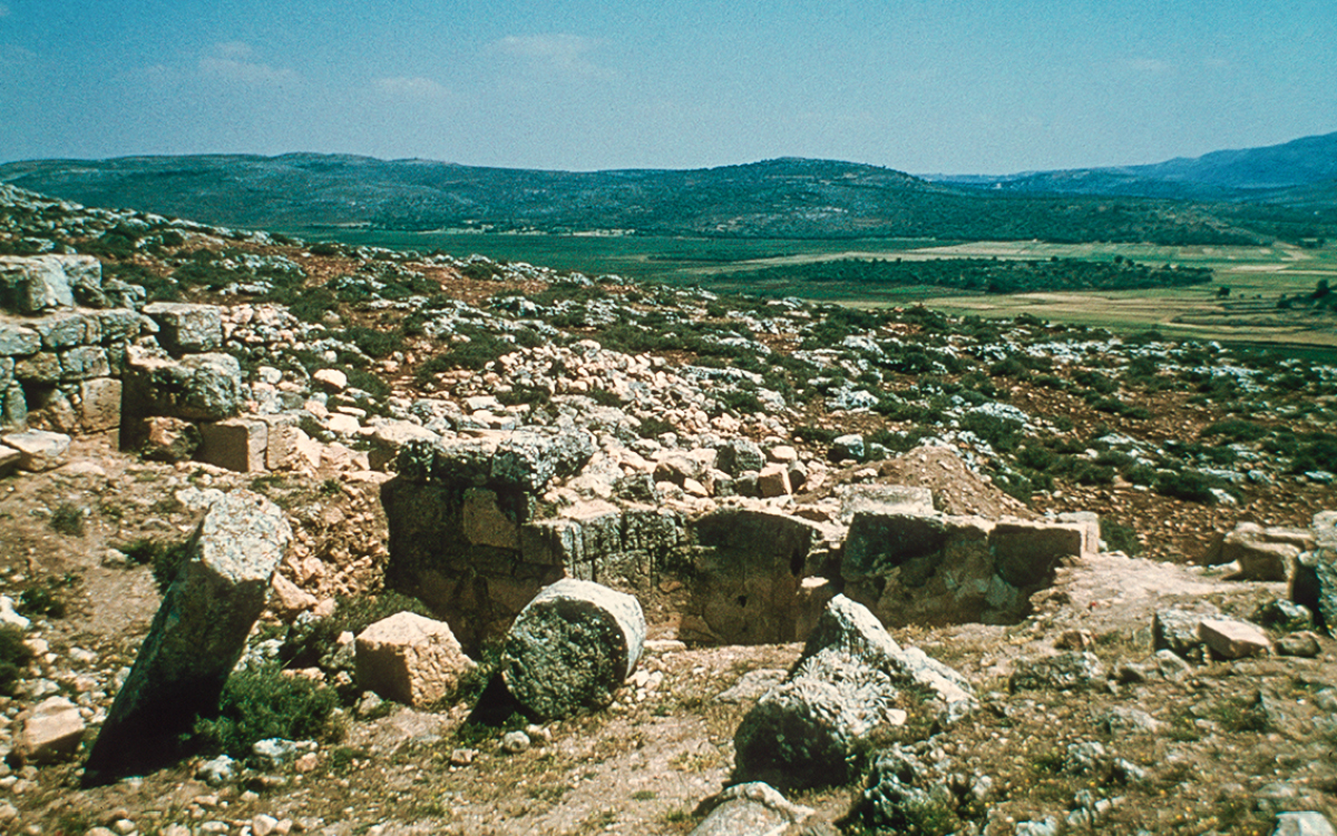 [Иллюстрация, страница 802]