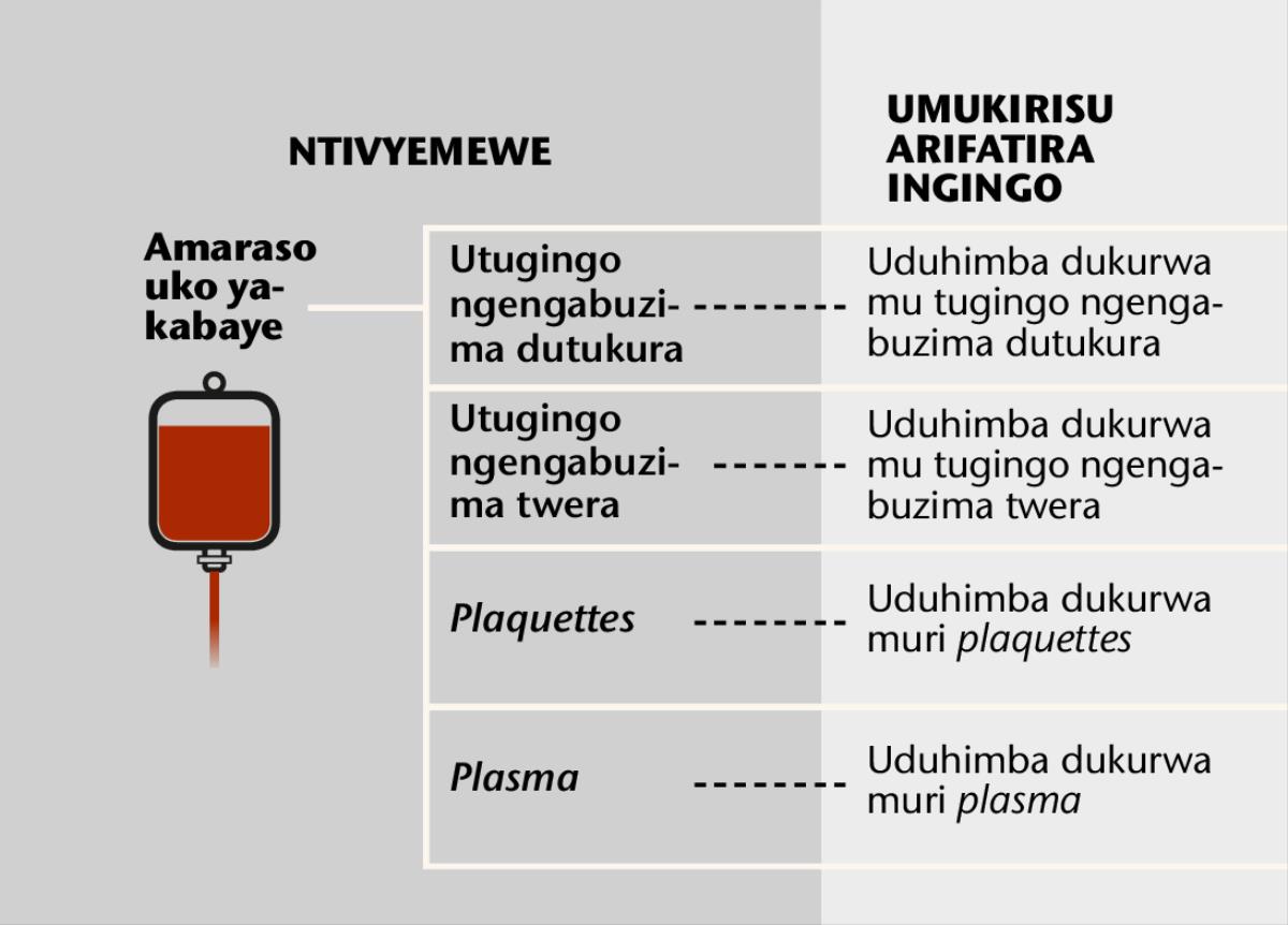 Amaraso, ibihimba vyayo bine nyamukuru n’uduhimba dutoduto twayo