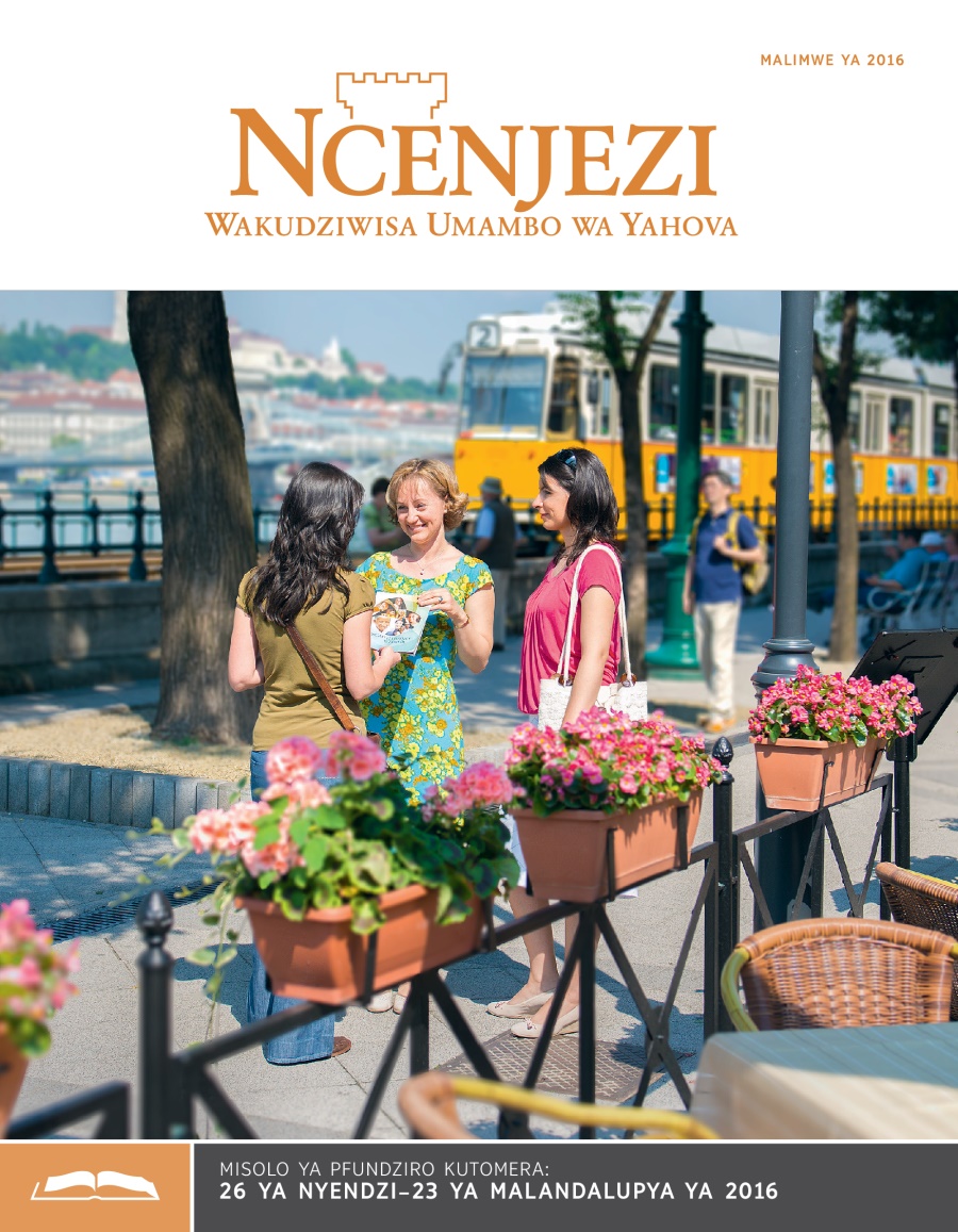 Ncenjezi wa Pfundziro, Malimwe ya 2016