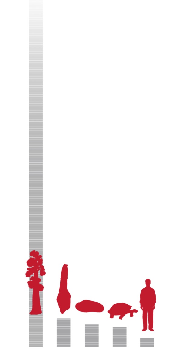 [6වන පිටුවේ ප්‍රස්තාරය]