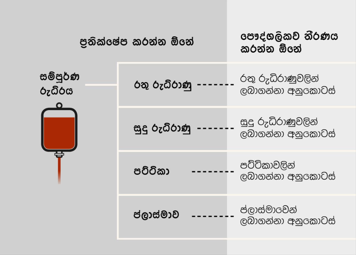 ධිරය, රුධිරයේ ප්‍රධාන කොටස් හතර සහ රුධිරයේ අනුකොටස්