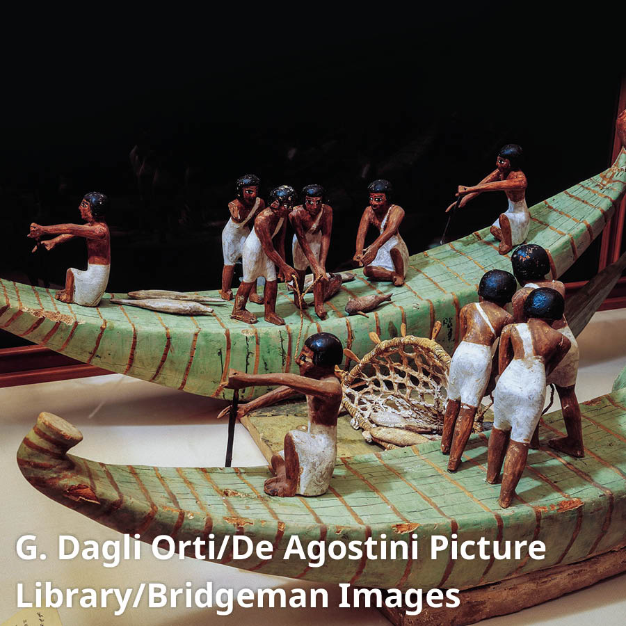 [31වන පිටුවේ පින්තූරය]