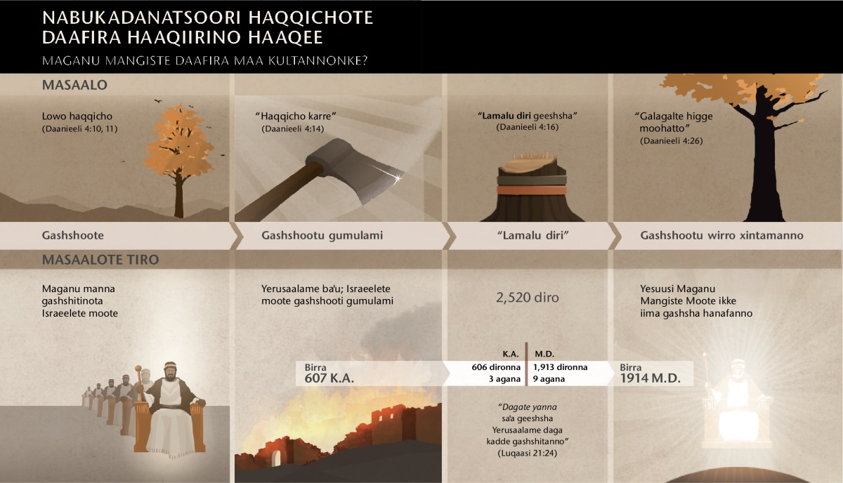 Naabukadantsoori haaqiirino haaqee ledo xaado afidhino borruwanna ikkituwa amaddino chaarte