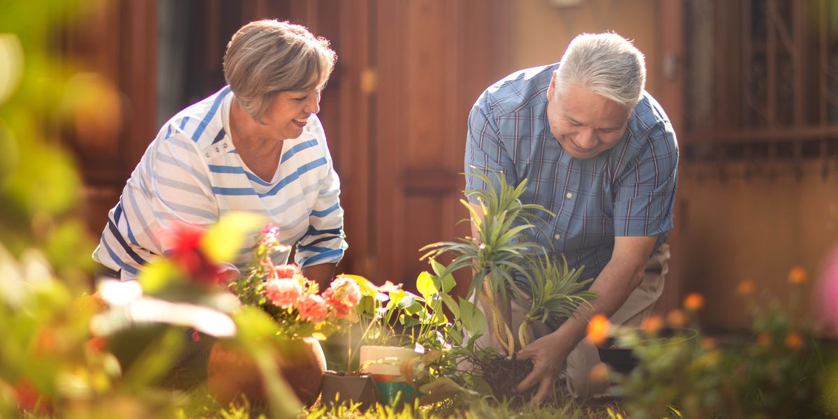 Jajjabbu minaanninna minaama hagiirrunni gate seekkiˈranni no.