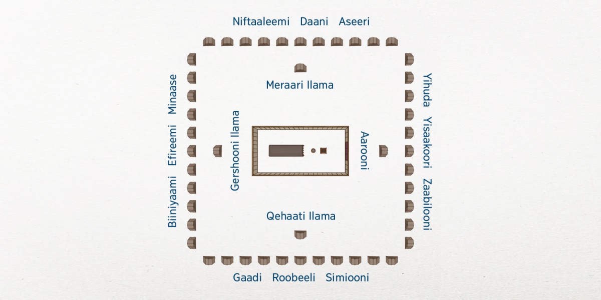 Israeelete manni dukkaˈninowa xeertote heeˈne laˈnanni woyite togo ikke leellanno. Xaadooshshu dunkaani mereero no. Xaadooshshu dunkaani mule noori Leewi gaˈre maateeti: Aaroooni soojjaatoonni, Qehaati Ilama wodiidoonni, Gershooni Ilama Galchimaanninna, Meraari Ilama Aliyyeenni no. Israeelenniti 12 gaˈre hakkiinni xeertidhe no. Soojjaatoonni Yisaakoori, Yihudanna Zaabilooni no. Wodiidoonni Gaadi, Roobeelinna Simiooni no. Galchimaanni Biiniyaami, Efireeminna Minaase no. Aliyyeenni, Daaninna Aseeri no.