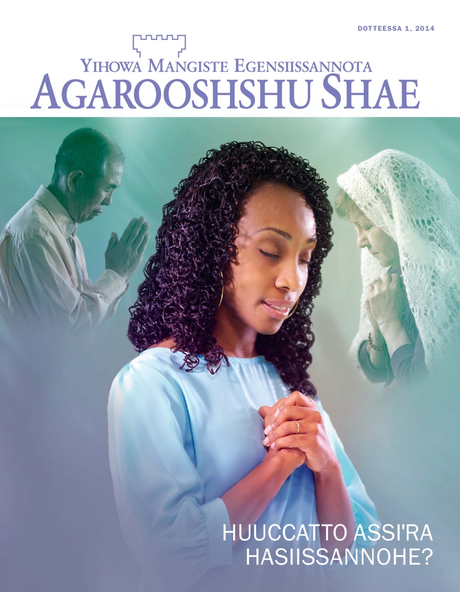 Agarooshshu Shae Metseeteha Aaniidi Qoola, Dotteessa 2014—Huuccatto Assiꞌra Hasiissannohe?