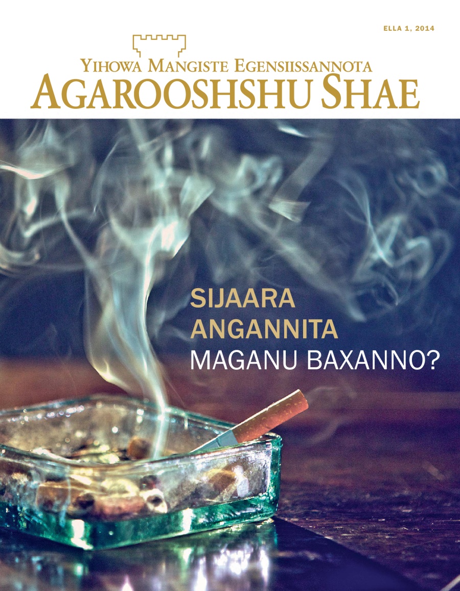 Ella 2014, Agarooshshu Shae, Aaniidi Qoola | Sijaara Angannita Maganu Baxanno?