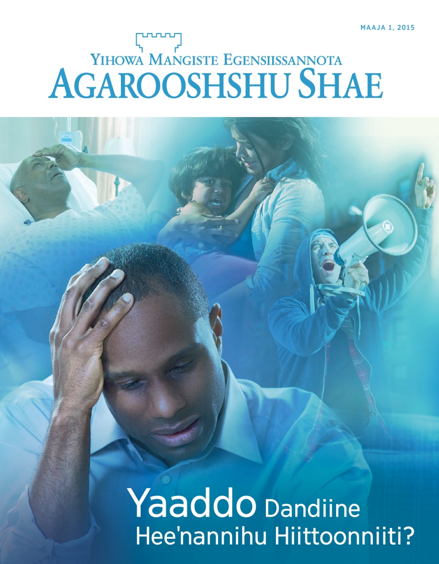Maaja, 2015 Agarooshshu Shaeha Aaniidi Qoola | Yaaddo Dandiine Heeˈnannihu Hiittoonniiti?
