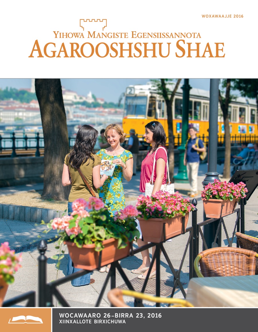 Agarooshshu Shae Xiinxallote Ittime, Woxawaajje 2016