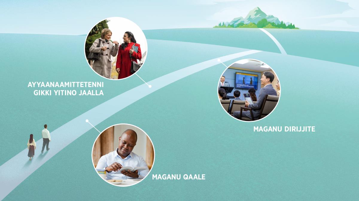 Foto: Mittu minaanninna minaama ilaala massitannote ruukkashsho doogo aana haˈranni no. Sase addi addi fotta tenne doogora haˈnanni heeˈne mito coye biddi assiˈneemmo doogga leellishshannonke. Tenne doogga gufo 7, 9nna 14 lende kulloonni.