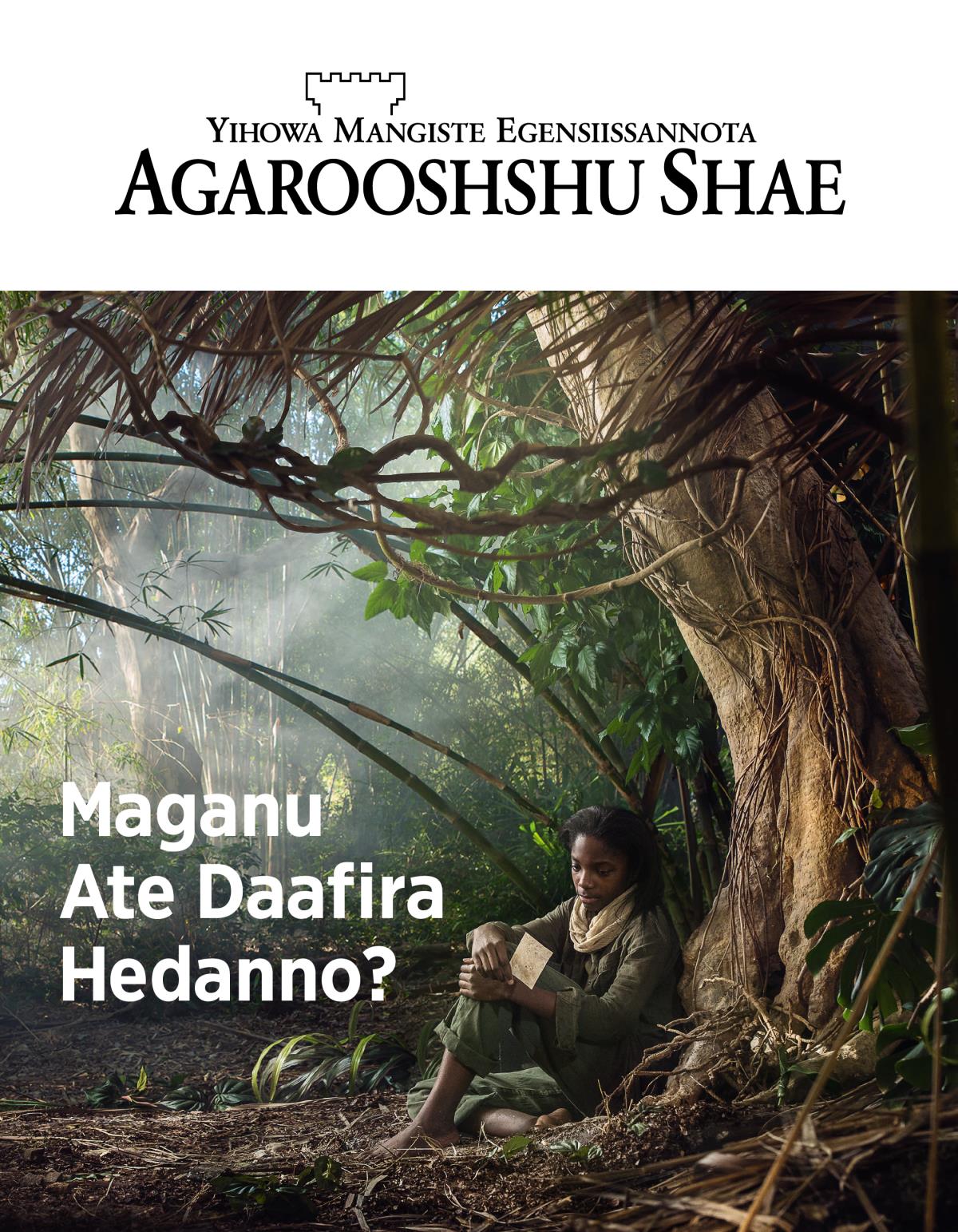 Agarooshshu Shae metseete, Kiiro 3, 2018 | Maganu Ate Daafira Hedanno?