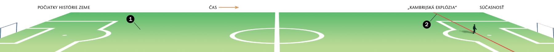 Časová os s dĺžkou futbalového ihriska zobrazujúca históriu zeme po takzvanú „kambrijskú explóziu“